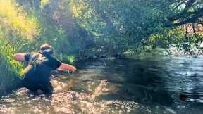 Deschutes River Salmon Flies (Fly Fishing 4-Day Float)