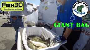 Biggins are Biting the Moving Baits in the Bass World Tourney on Truman Lake Vlog