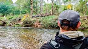 Late Season Fly Fishing for Large Trout in New Zealand