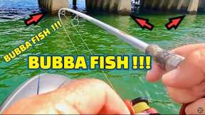 A Deadly FISHING BAIT that CATCHES a BOAT LOAD of FISH !!!
