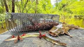 Crawfish, Eels and Catfish Catch & Cook (The Swamps most Prized Delicacies)