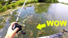 BASS FISHING a Small Lake with HUGE Potential!!!