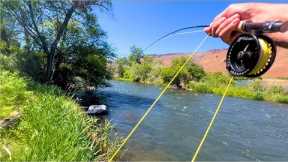 Bigger is BETTER - Dry Fly Fishing on the DESCHUTES RIVER
