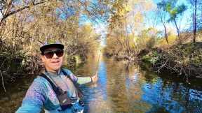 Late Season Dry Fly Fishing for Brown and Rainbow Trout!