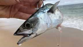 Catching Your Own Bait for Gamefish off the Beach!!