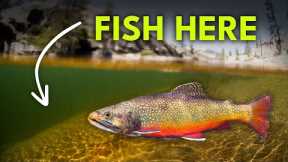 How To Find Trout In A River — Runs 101 | Module 8, Section 5