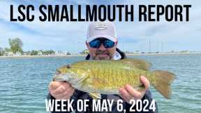 Lake St Clair Smallmouth Bass Fishing Report - Early May 2024