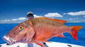 Every Fishermen DREAMS of This Day…(Catch Clean Cook) Giant Mutton Snapper