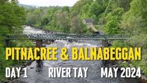 Salmon Fly Fishing | Pitnacree & Balnabeggan | River Tay | May 2024