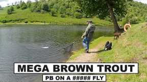 243. Catching a PB Brownie 🐟 Big Rainbows & Blue Trout 🐟 Fly Fishing UK