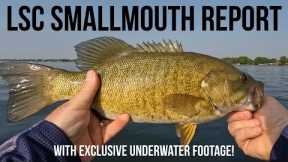 Lake St Clair Smallmouth Bass Fishing Report - With EXCLUSIVE Underwater Footage!