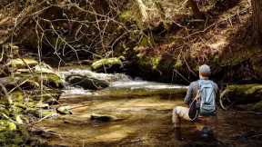 Untamed Waters - Fly Fishing for Wild Trout in the Catskill Mtns (Part 1)