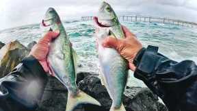 Rock Fishing In A Rain Storm - Catch And Cook