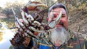 Epic Underwater Footage: Yellowbelly Fishing and Crayfish Encounter