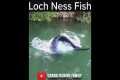 LOCH NESS CATFISH 😱 #fishing #silure 