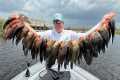 INVASIVE FISH are TAKING OVER (Catch