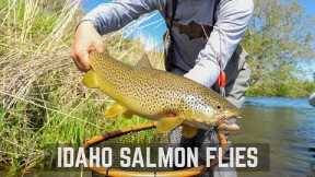 Fly Fishing Idaho: Incredible Salmon Fly Hatch!