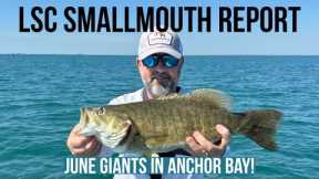 Lake St Clair Smallmouth Bass Fishing Report - GIANTS In Anchor Bay!