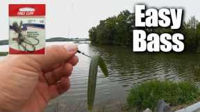 Easy Bass Fishing for ANYONE - Affordable Fishing for Beginners