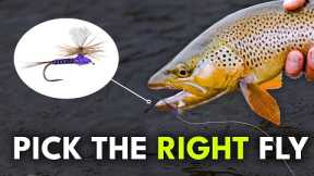 How To ALWAYS Pick the Right Fly Fishing Flies | Ep. 80