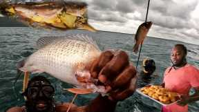 offshore deep dive mangroves Snapper catch clean and cook apple pineapple roasted fish