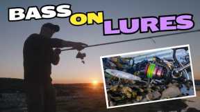 Bass on Lures ¦ A Tale of Two Trips ¦ Sea Fishing