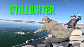 STILLWATER Trout Fishing