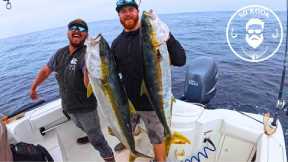 Yellowtail Fishing San Diego | First offshore kelp paddy fish of the 2024 season!