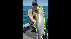 NFN Salmon Fishing (Meat Fishing) Lake Michigan Shake Down 2024