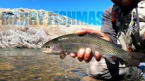 The Day After Fishmas 2024 | Eastern Sierra Fly Fishing- Free Form Fly Fisher