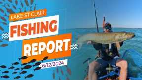 The Lake St. Clair Fishing Report 6/12/2024