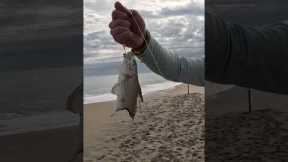 Finding Beach Fishing Spots The EASY Way