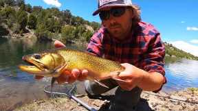 BROOK TROUT CATCH N’ COOK!! (Fly Fishing)