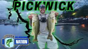 2024 Alabama B.A.S.S Nation #4 - PICKWICK LAKE