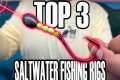 Top 3 Saltwater Fishing Rigs For