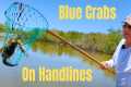 Catch And Cook Blue Crabs In Florida