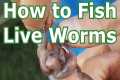 How to Fish with Live Worms: Setup -