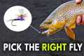 How To ALWAYS Pick the Right Fly