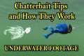 Chatterbait Fishing Lure Tips and How 