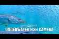 Underwater Camera - Deerfield Beach,