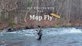 FLY FISHING with the MOP FLY | Catching big Brown Trout