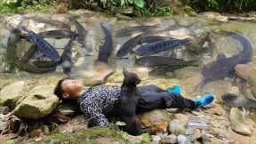 Orphaned boy Nam's arranged rocks to block the stream and placed bamboo cages to catch fish to sell