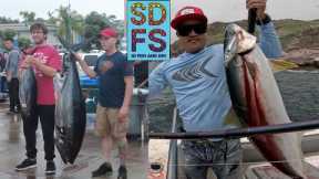 Big Bluefin Tuna & Islands Yellowtail Fishing Continues | San Diego Sportfishing Report July 2024