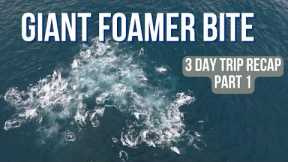 Giant Foamer with Mako & Whale - Day Time Tuna Fishing