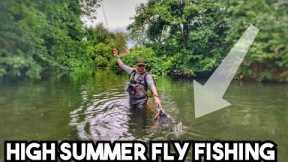 Summer River Fly Fishing - It's been a while!