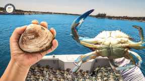 Catch Loads of BAY MONSTERS with Clam & Blue Crab Bait!