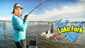 There's Absolute FREAKS Swimming around Lake Fork's FLOODED FOREST!! (Lake Fork Bass Fishing)