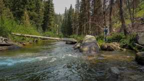 Most Bull Trout I’ve EVER Caught in a Tiny Creek | Fly Fishing