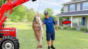 Big Black Drum Catch, Clean, & Cook Like Never Before!