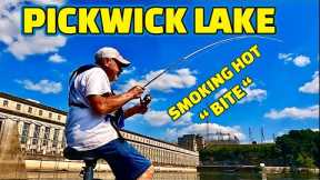 Fishing PICKWICK LAKE below WILSON DAM on the TENNESSEE RIVER !